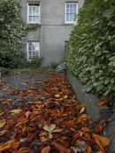 Ballydahin, County Cork