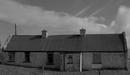 Boolinarig, Co. Offaly,II