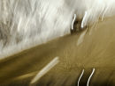 Light Shower