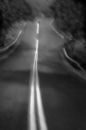 The Long Road Home