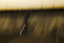 Overpass