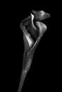 Dark Unfolding