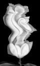Whipped Cream