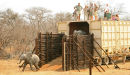 Elephant release (3)
