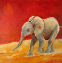 Baby Elephant