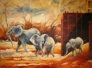 Elephant release
