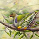 Green Pigeon