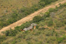 At Home, Khaya Ndlovu 