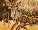 Kudu
