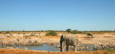 Okaukuejo waterhole in Etosha