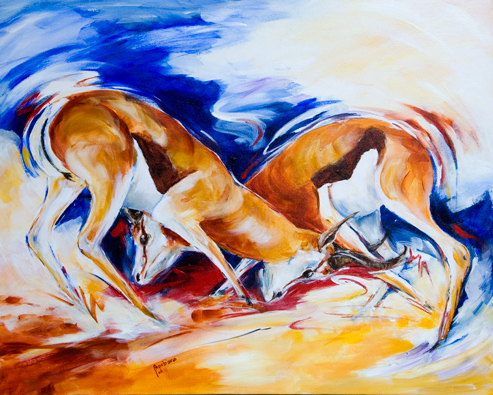 Fighting Springbok
