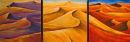 Namibian Sanddunes