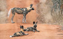Watched by parent