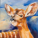 Young Nyala