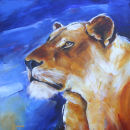 Lioness