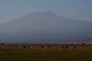 Kilimanjaro