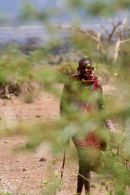 Maasai