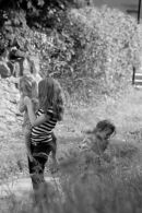 Looking for fairies