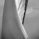 Zanzibar, dhow sails