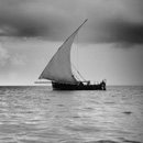 In the distance