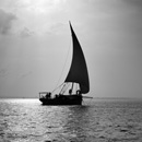 Dhow at sunset