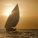 Zanzibar life