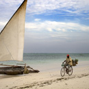 Dhow and pineapple seller