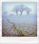 Frozen Walk