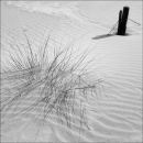 Grass and Post