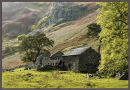 In Martindale
