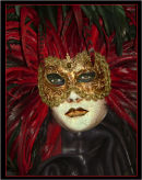 Black & Red Feathers