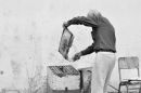Beekeeper, Athens