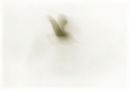 Icarus 10