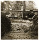 Larundel_52