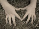 Love Heart, Box Hill, 2008