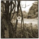 Larundel_4