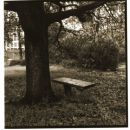 Larundel_5