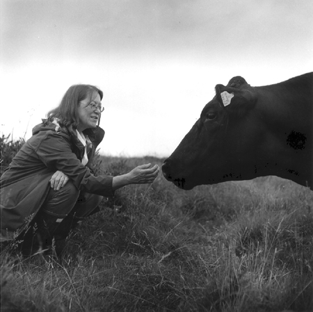 Lizzie Vines & The Matriarch, Wild Beef, Dartmoor, Devon