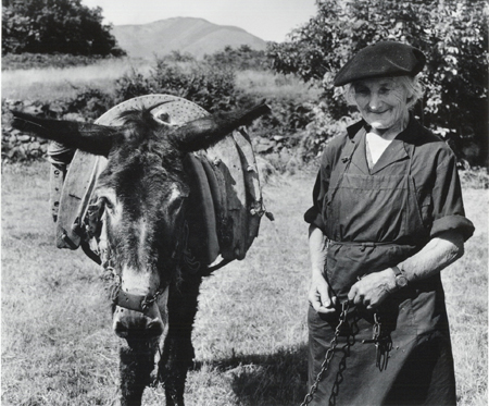 Pyrenees - Marie Louise