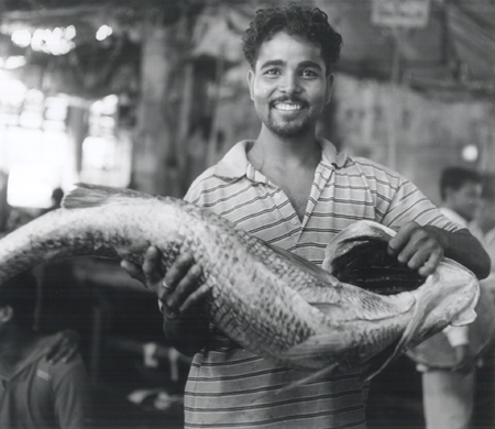 Fish market trader