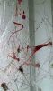 Spatter