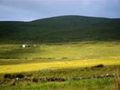 LANDSCAPE PHOTOGRAPHY with GLENDA COLQUHOUN