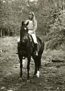 Cowdrey Park Sussex for Country Life