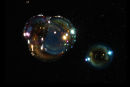 Bubbles Black