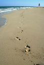 Footsteps