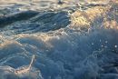 Splash