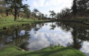 Bradgate Park Pond