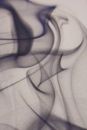 Canvases