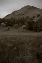 Catbells Cottage