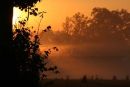 Dawn Rising